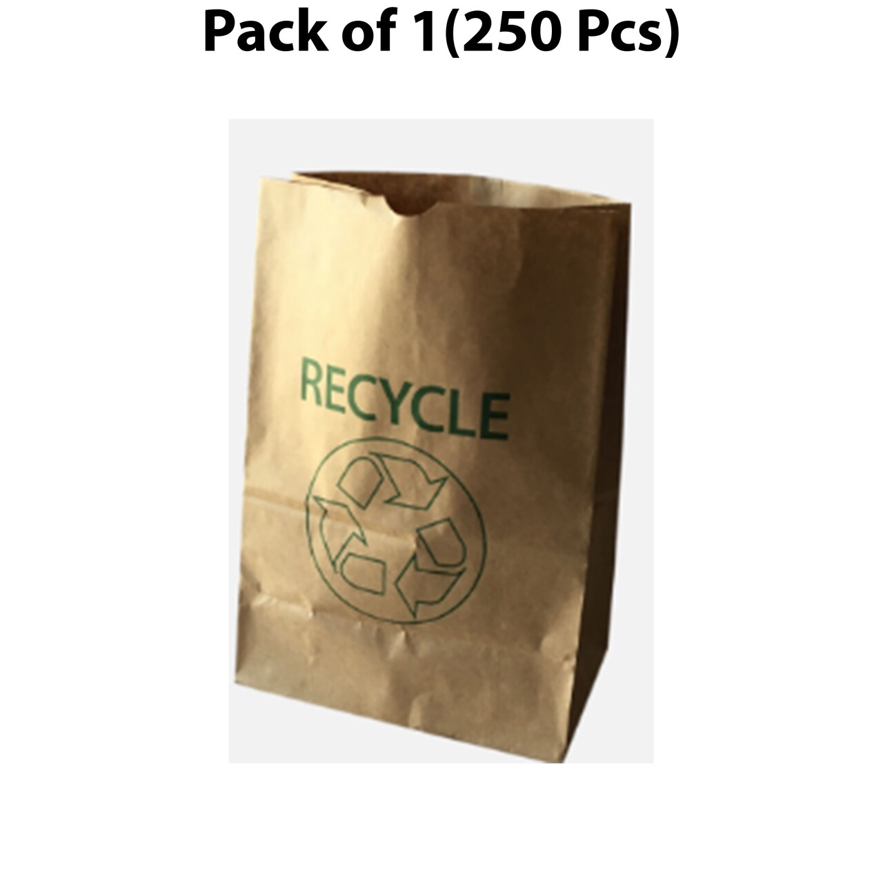 Paper Bag Brown-12 | Reusable for eco-conscious consumers | RAHEEV®